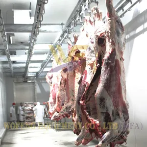 800 Cattle Per Shift Butchery Machinery Beef Abattoir Equipment Slaughterhouse for Cows and Lamb Mutton Beef Processing Line thumbnail-2