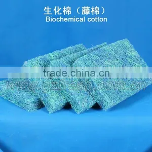 Koi Filter thumbnail-1