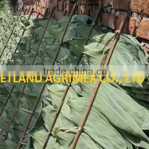 Dry Big Size Bamboo Leaves thumbnail-3