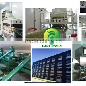 Sunflower Seeds Long Type 5009 Inner Mongolia thumbnail-6