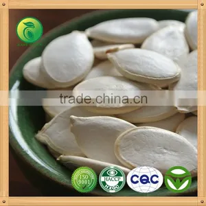 Snow White Pumpkin Seeds Kernels thumbnail-1