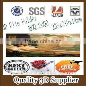 Guangzhou Lifeng Promotion Cheap 3d File Folder thumbnail-1