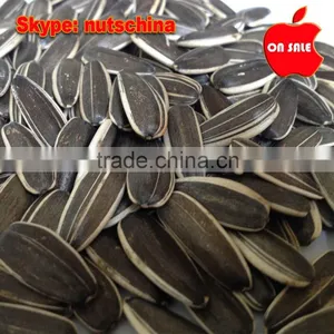 Sunflower Seeds 5009/118/3939/5135/6009 thumbnail-1