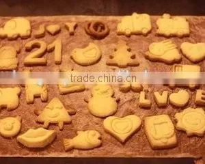DXY480 Soft and Hard Biscuit Production Line thumbnail-1