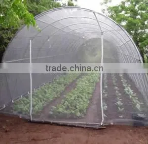 HDPE Vegetable Plant Insect Proof Net, pe Pest Control Web/net thumbnail-6
