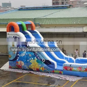 Promotional Giant Inflatable Water Slide,10m Length Water Slide With Pool thumbnail-1