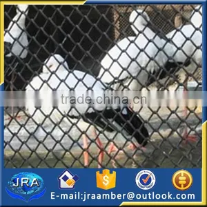 Zoo Bird Cages Stainless Steel Aviary Mesh/netting thumbnail-2