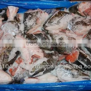 ATLANTIC SALMON HEADS thumbnail-2