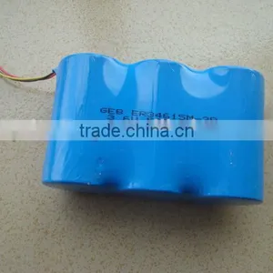 19Ah 13Ah ER34615 Lithium Primary Battery thumbnail-1