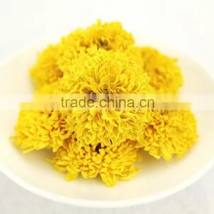 Ancient Chinese Medicine for Herbal Therapy and Herbal Remedy Chrysanthemum thumbnail-4