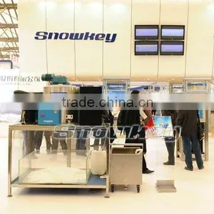 Commercial Flake Ice Maker ICE Machine For Sale Flaking Machine thumbnail-1