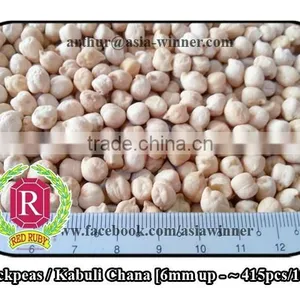 Chickpeas / White Chana / Kabuli Chana / Cicerarietinum (Red Ruby) thumbnail-2