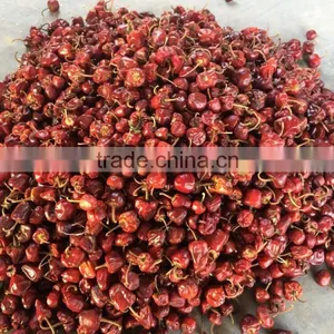 Round Red Chilles thumbnail-3