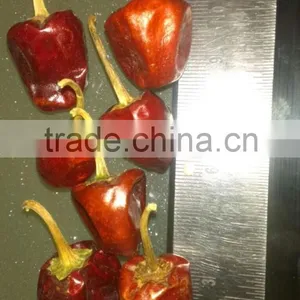 Dry Chiles From India thumbnail-5