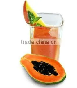 Aseptic Yellow / Red Papaya Puree ( Min 9 Brix ) thumbnail-1