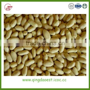 New Crop 2016 Chinese Factory Blanched Peanut Kernel thumbnail-3