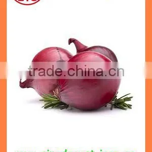 Export Chinese New Crop Fresh Red Onion thumbnail-1