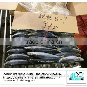 Frozen Hard Tail Scad Fish thumbnail-1