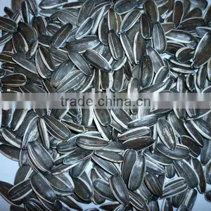 Sunflower Seeds From Chinese thumbnail-1