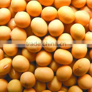 Soyabean Meal 43%-48% thumbnail-3