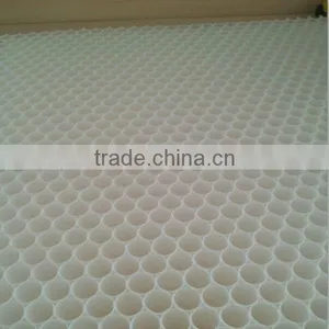 PP Honeycomb Board thumbnail-1