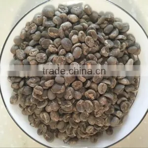 Arabica Green Coffee Beans thumbnail-2