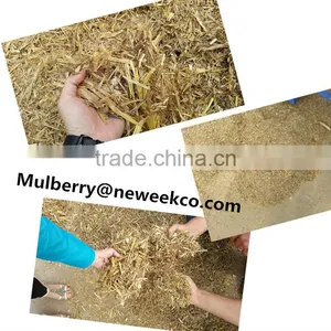 Neweek Small Farm Corn Stalk Green Grass Chaff Cutter Crusher thumbnail-5