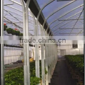 Multi Span Tunnel Plastic Tropical Greenhouse thumbnail-1