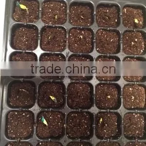 288 Cell Biodegradable Plant Growing Tray, 540*280mm, 35mm Depth thumbnail-1