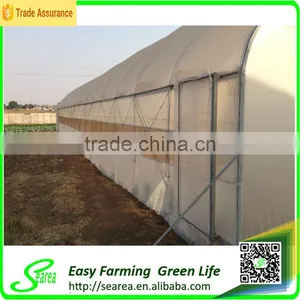 Searea Easy Farming Economical Single Tunnel Greenhouse thumbnail-1