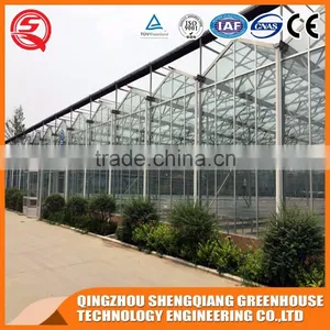 Vegetable Product Venlo Glass Green House Hydroponic System thumbnail-1