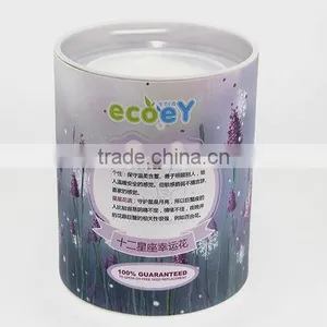 Fashion Twelve Constellations Lucky Flower Potted Plant -lavender thumbnail-1