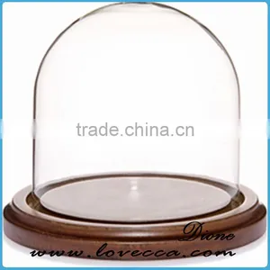 Mouth Blown Modern Decoration Glass Globe Customized Flower Clear Glass Display Dome thumbnail-3