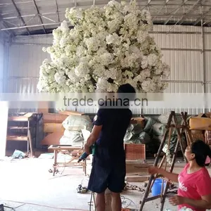 GNW Technology Co., Ltd. company overview - view 3 thumbnail