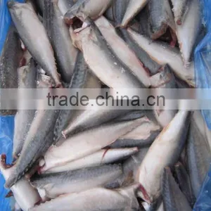Land Frozen Pacific Mackerel Headless thumbnail-1