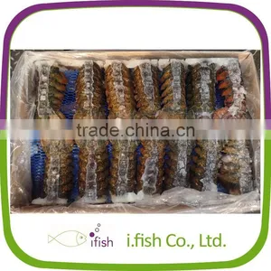 Lobster Tails thumbnail-1