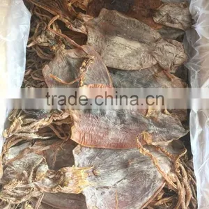 Dried North Korea Squid 3L thumbnail-3