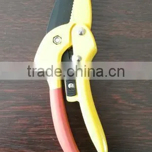 Pruner thumbnail-2