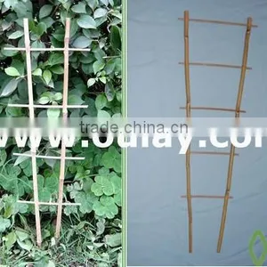 Bamboo Trellis for Plant Supporting thumbnail-1