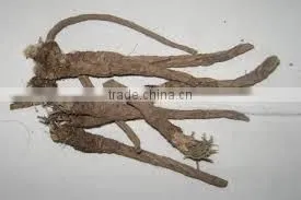 Pellitory thumbnail-1