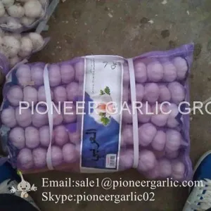 New Crop Chinese 5cm Pure White Fresh Garlic Small Packing in Mesh Bag thumbnail-5
