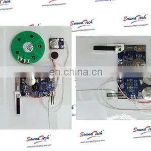 Greeting Card Voice Recording Module thumbnail-5
