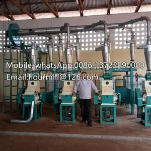 Small Production 10T Wheat Flour Milling Machine Wheat Meal Processing Line Grain Milling Machine thumbnail-1