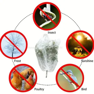 Polyethylene White Orchard Fruit Fly Netting Bags,fruit Tree Protection Covering Mesh Bag,UV Resistant Anti Insect Net Tent thumbnail-4