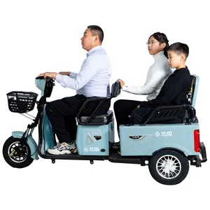 3 Wheels 600W 800w Gear Motor Electric Scooter Tricycle With EEC Coc for Europe Market thumbnail-3