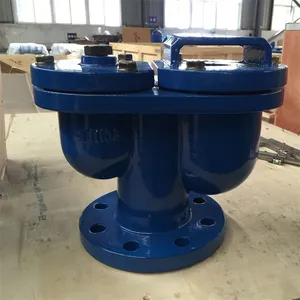 Automatic Air Vent Valve Double Orifice Cast Steel DI QT450 DN50 PN16 PN25 Screwed Single Sewage Pipe Air Release Exhaust Valve thumbnail-5