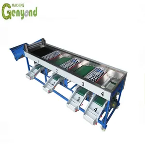 3 Ton Onion Garlic Sorting and Grading Machine thumbnail-5