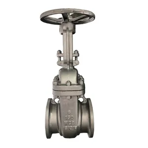 ANSI B16.5 Standard Cast Steel Gate Valve Flanged End Industrial Valve thumbnail-3