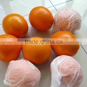 FRESH BABY MANDARIN thumbnail-1