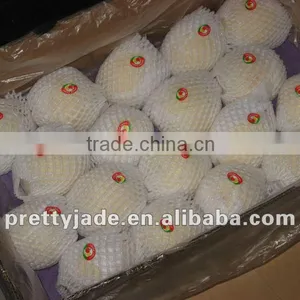 New Crop Fresh ya Pear From China thumbnail-1
